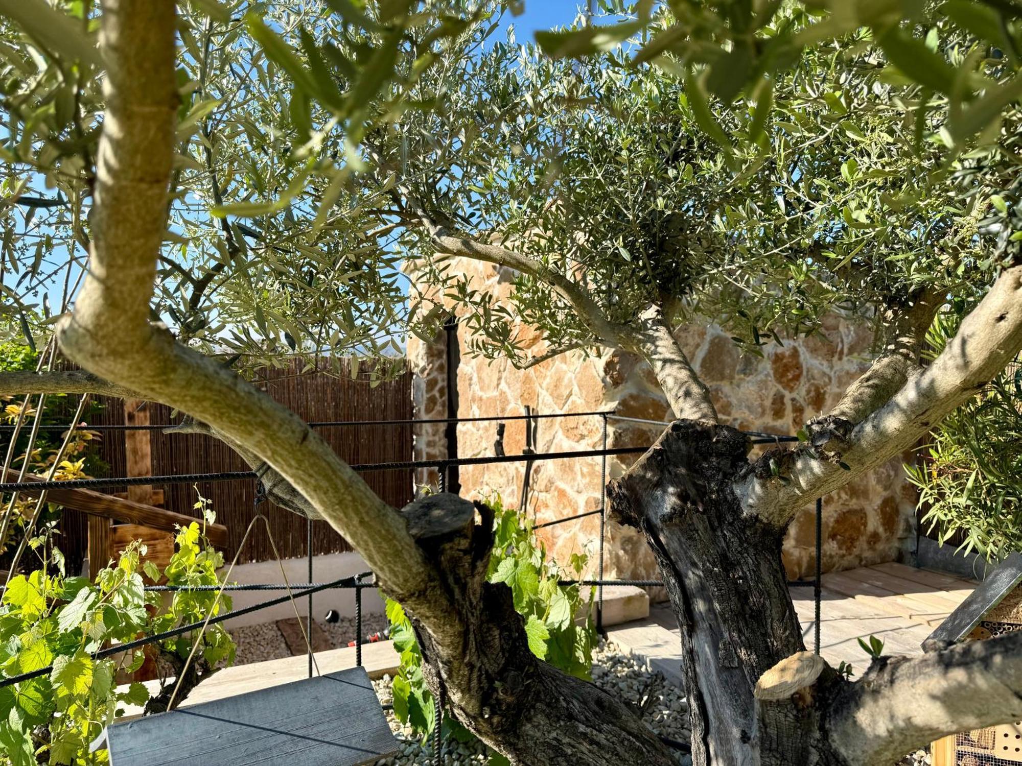 Une Nuit En Luberon Puyvert المظهر الخارجي الصورة